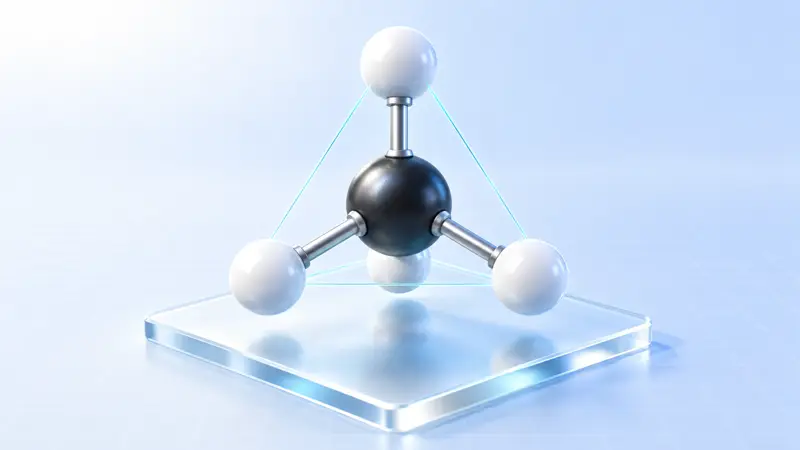 搭建球棍模型认识有机化合物分子结构